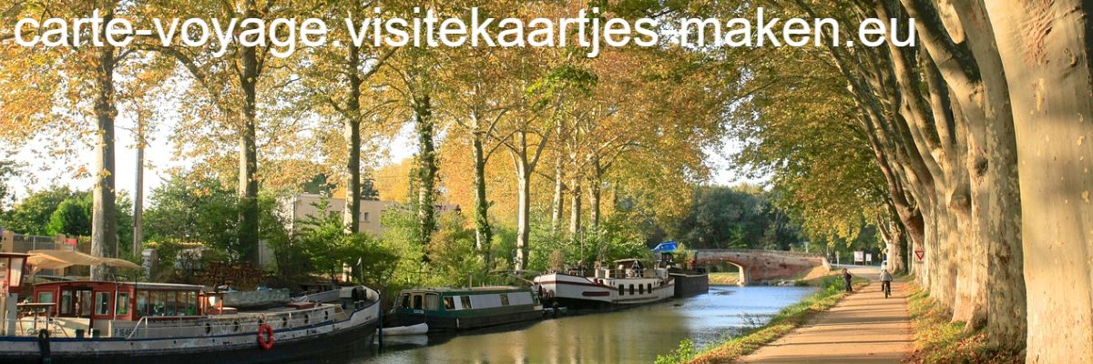 carte-voyage.visitekaartjes-maken.eu
